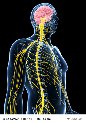 3 Causes For A Trapped Nerve In Your Upper Body - Fitness Oriented