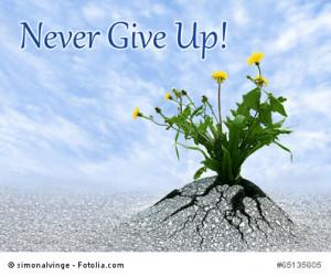 Never Give Up