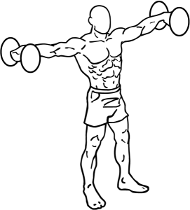 Dumbbell Lateral Raises